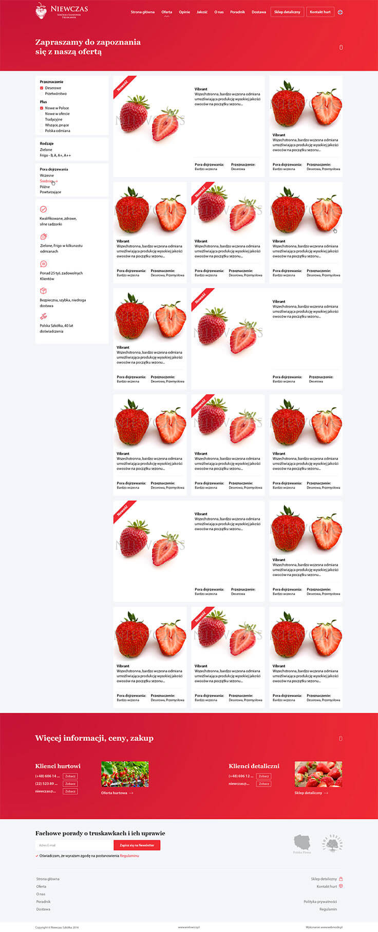 Projektowanie stron www - Niewczas, lista produktów