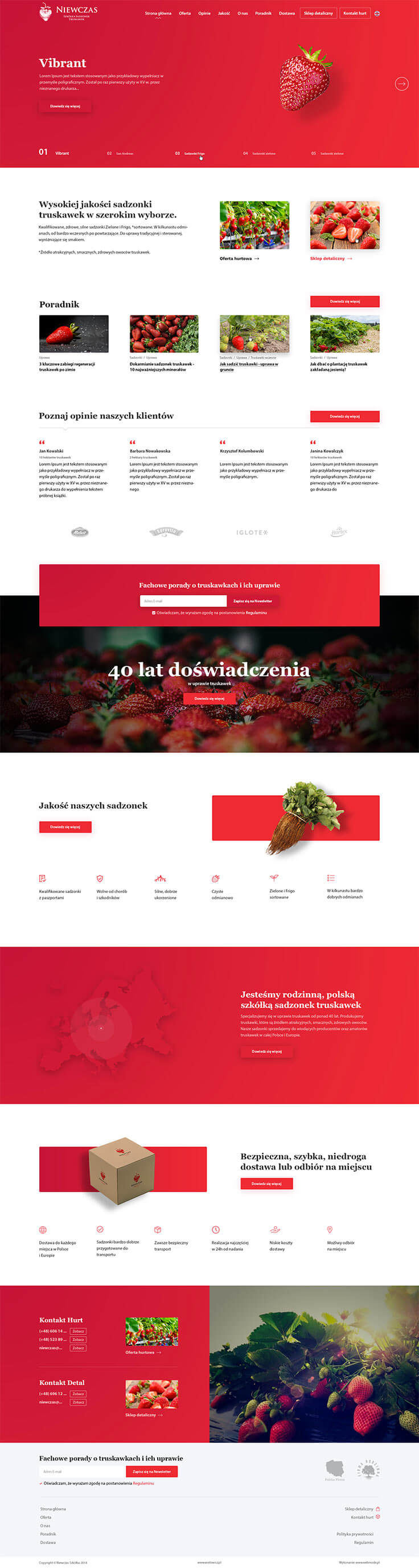 Projektowanie stron www - Niewczas, strona główna