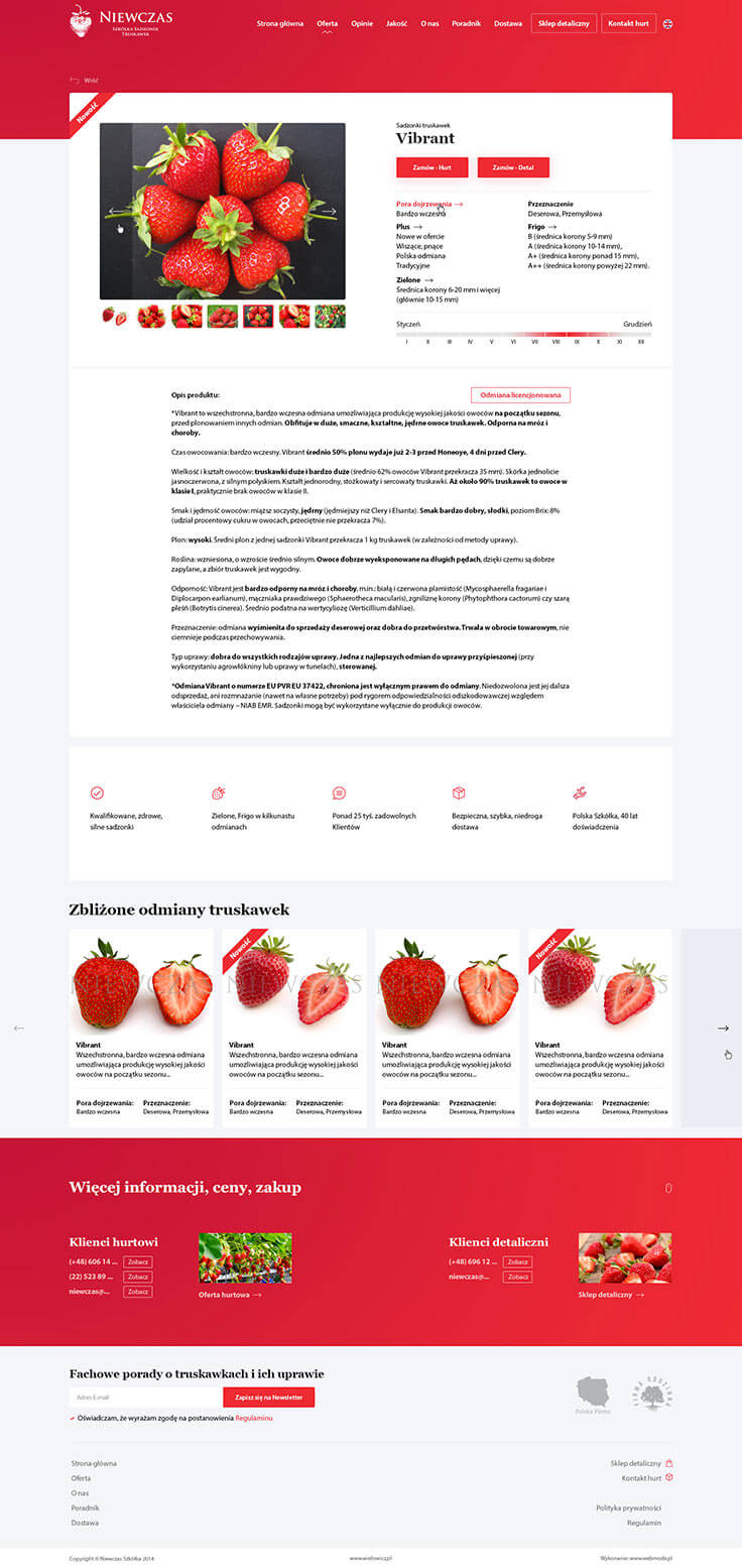 Projektowanie stron www - Niewczas, szczegóły produktu
