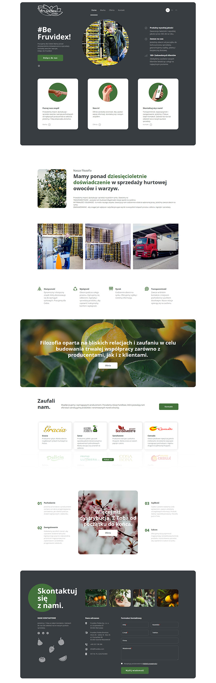 Projektowanie stron www - Fruvidex, strona główna