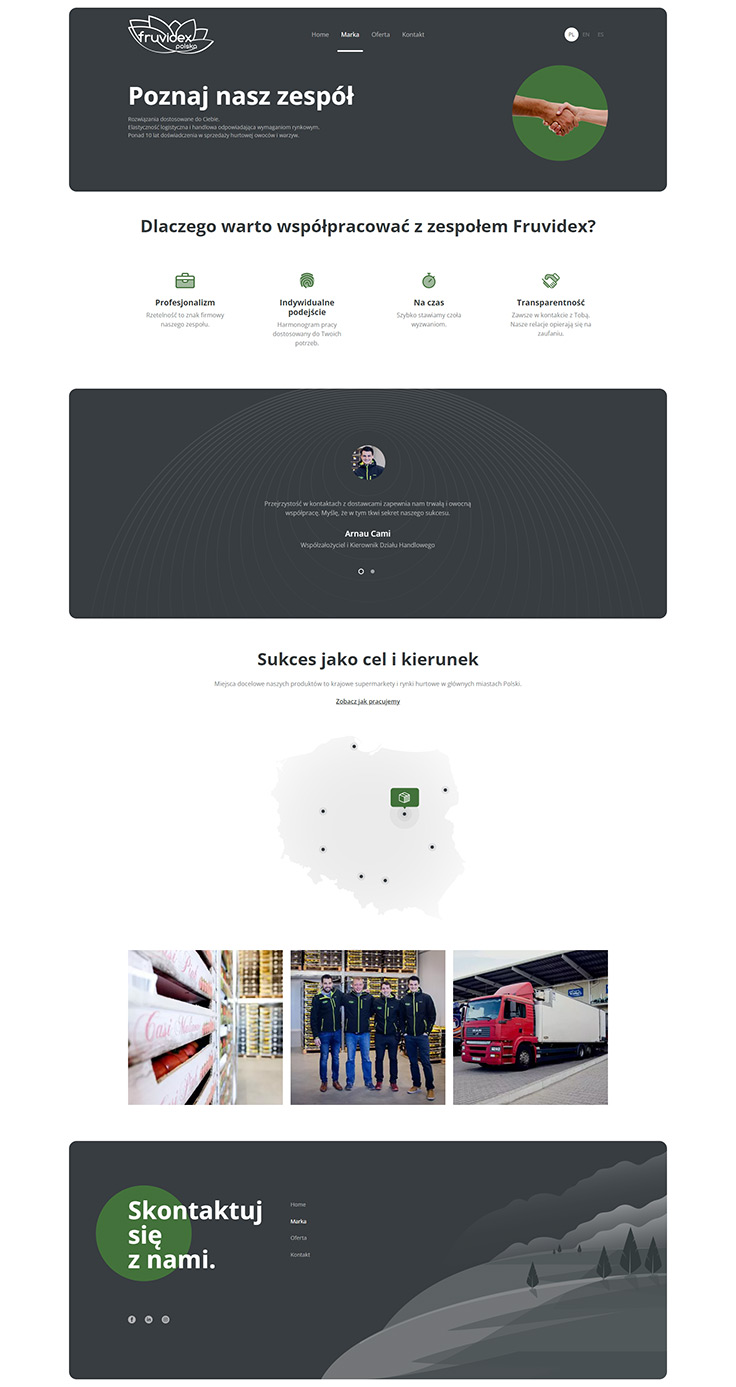 Projektowanie stron www - Fruvidex, marka
