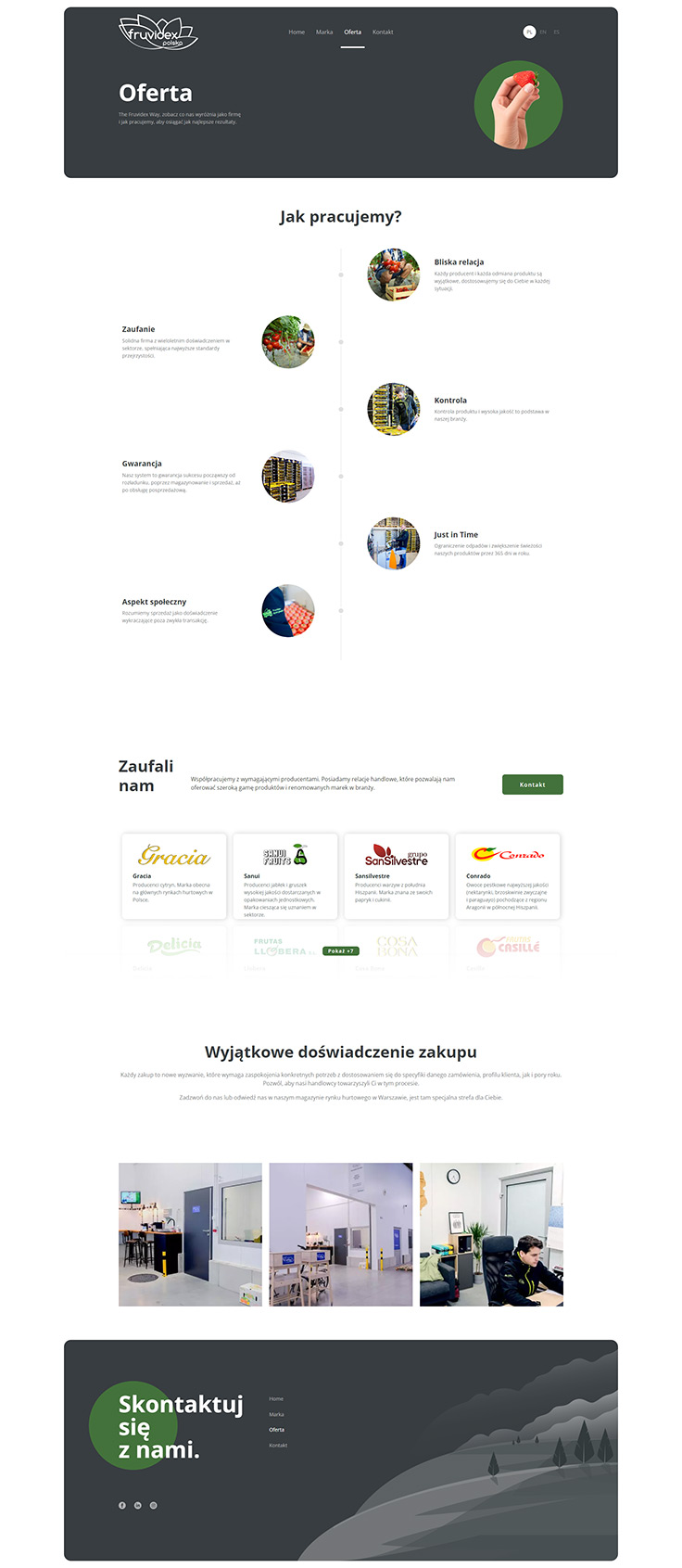 Projektowanie stron www - Fruvidex, oferta